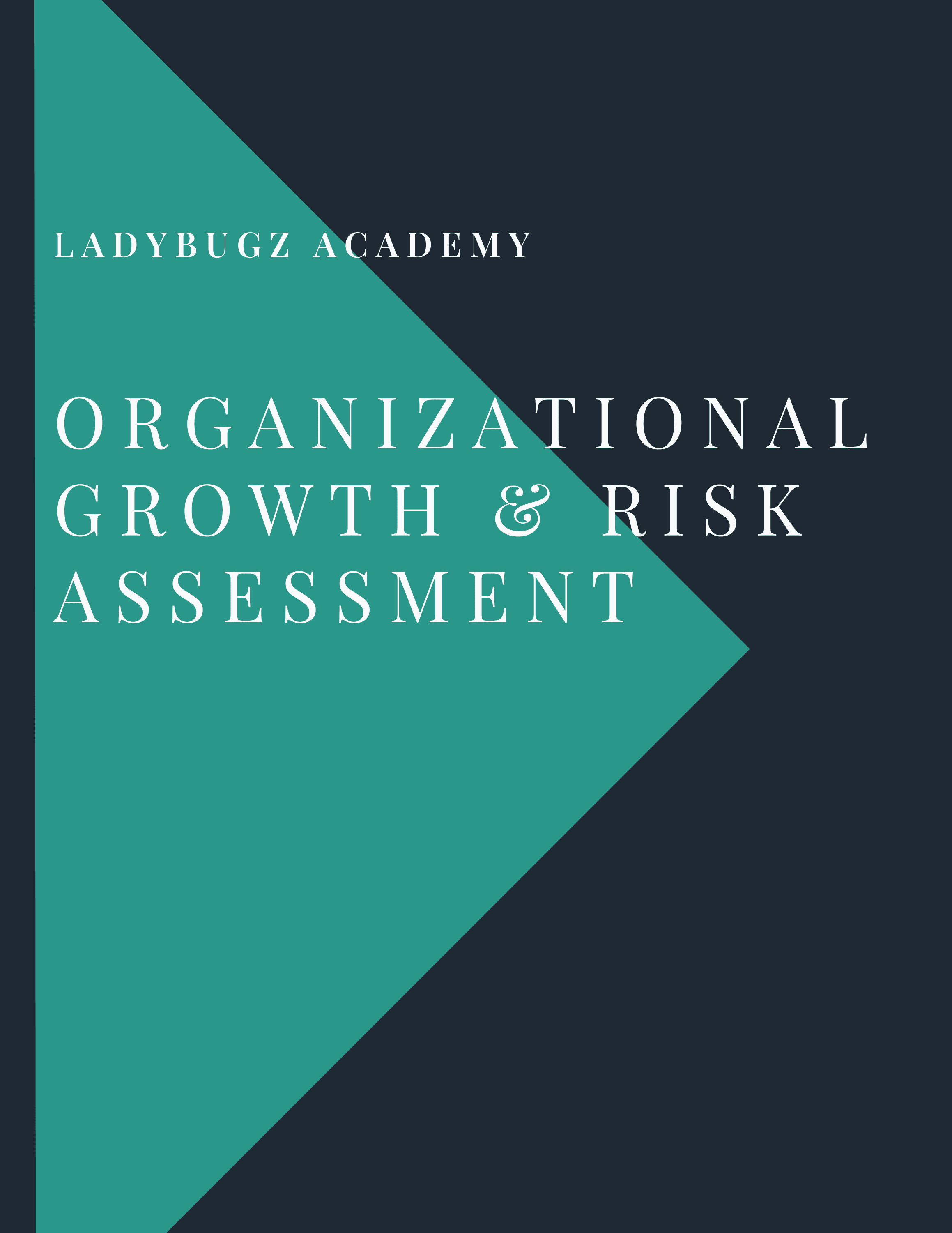 Organizational Growth & Risk Assessment cover